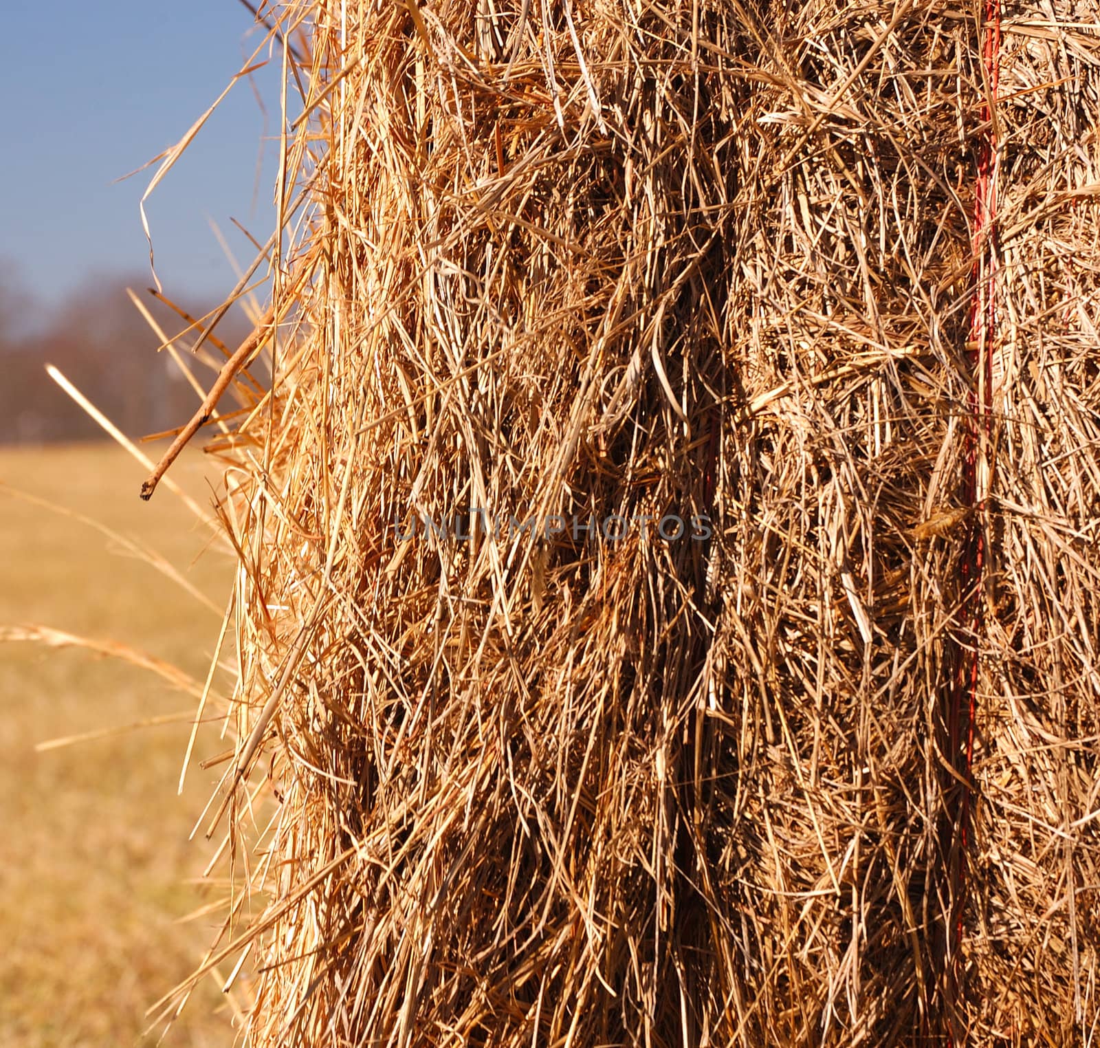 A haybale shown up close after a harvest