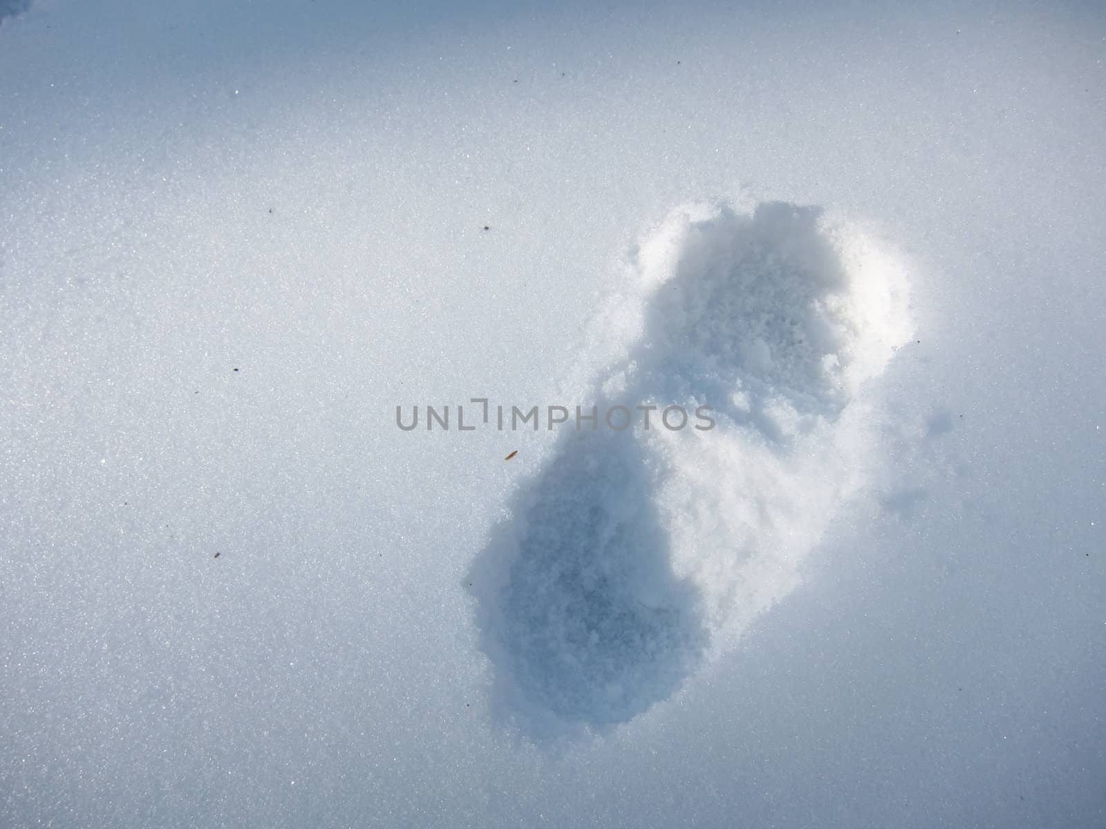 A single bootprint in the snow, outlined by shadows and sunlight.