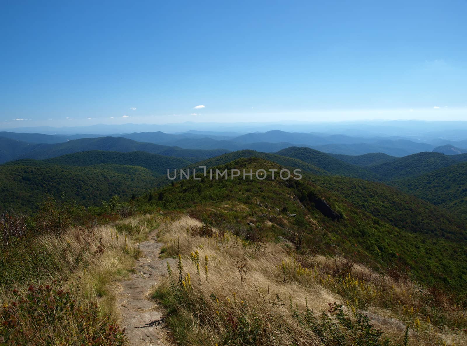 Hiking path in the mountains of North Carolina