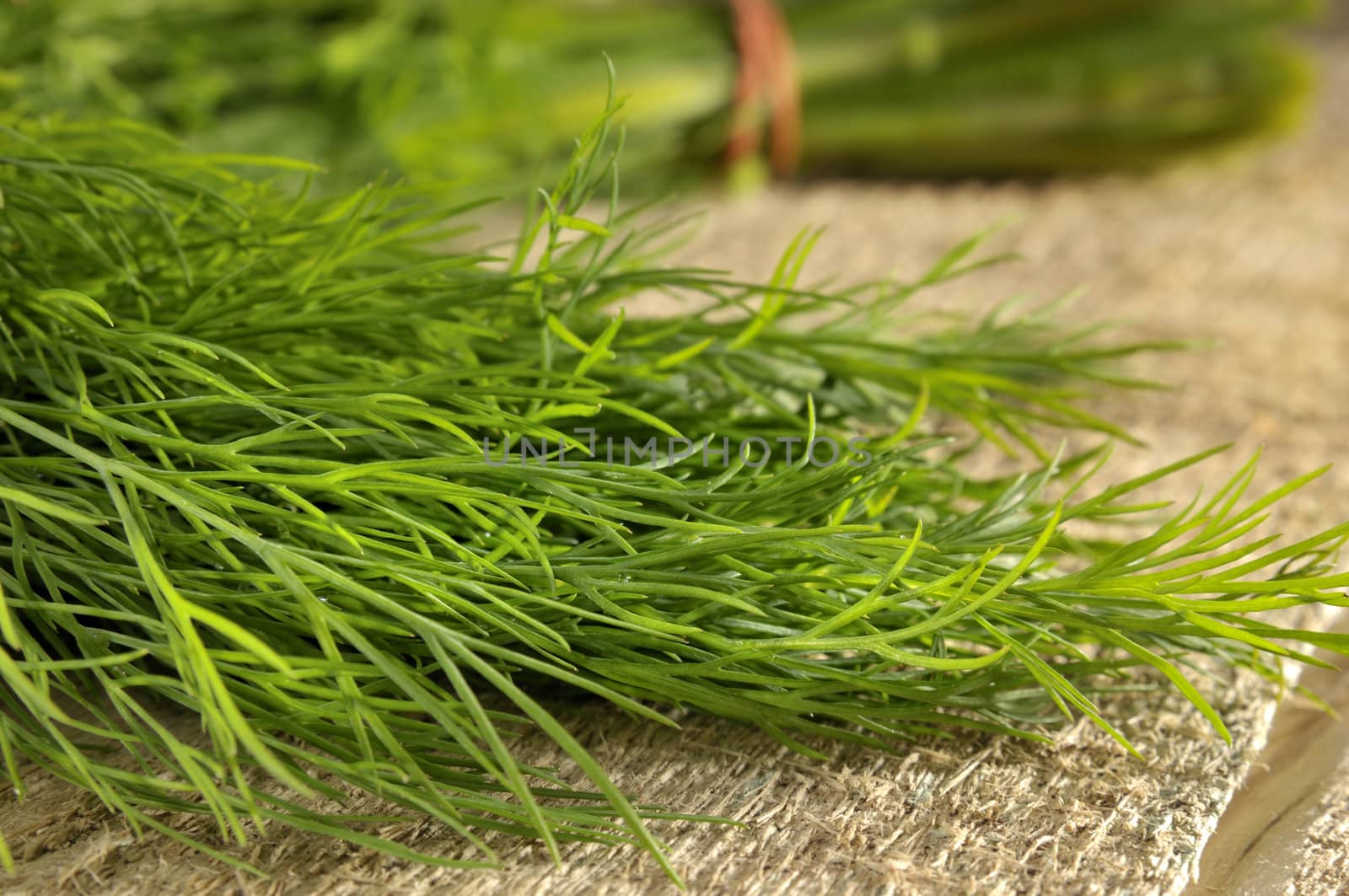 Fresh dill in the kitchen