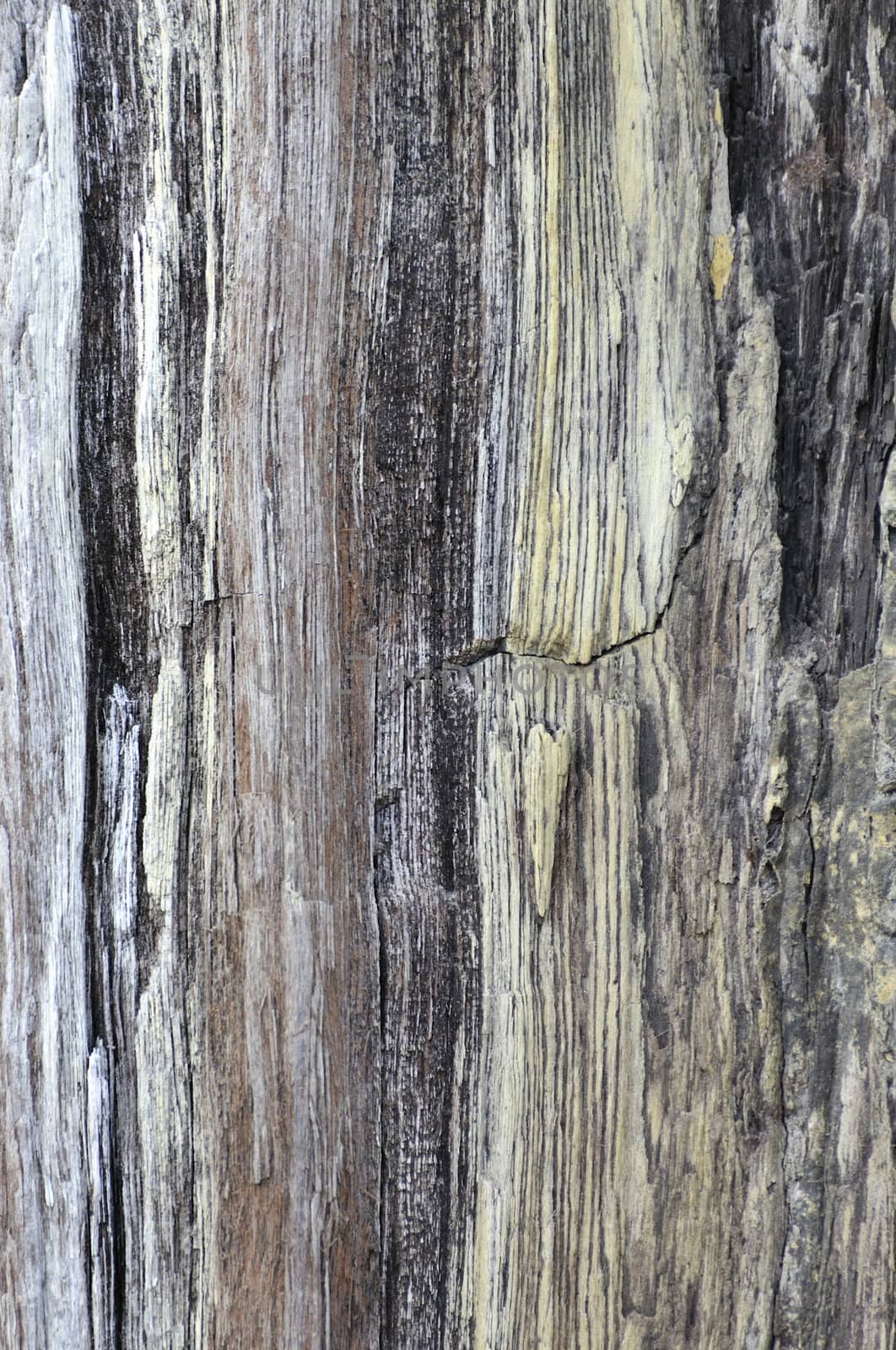 wooden background