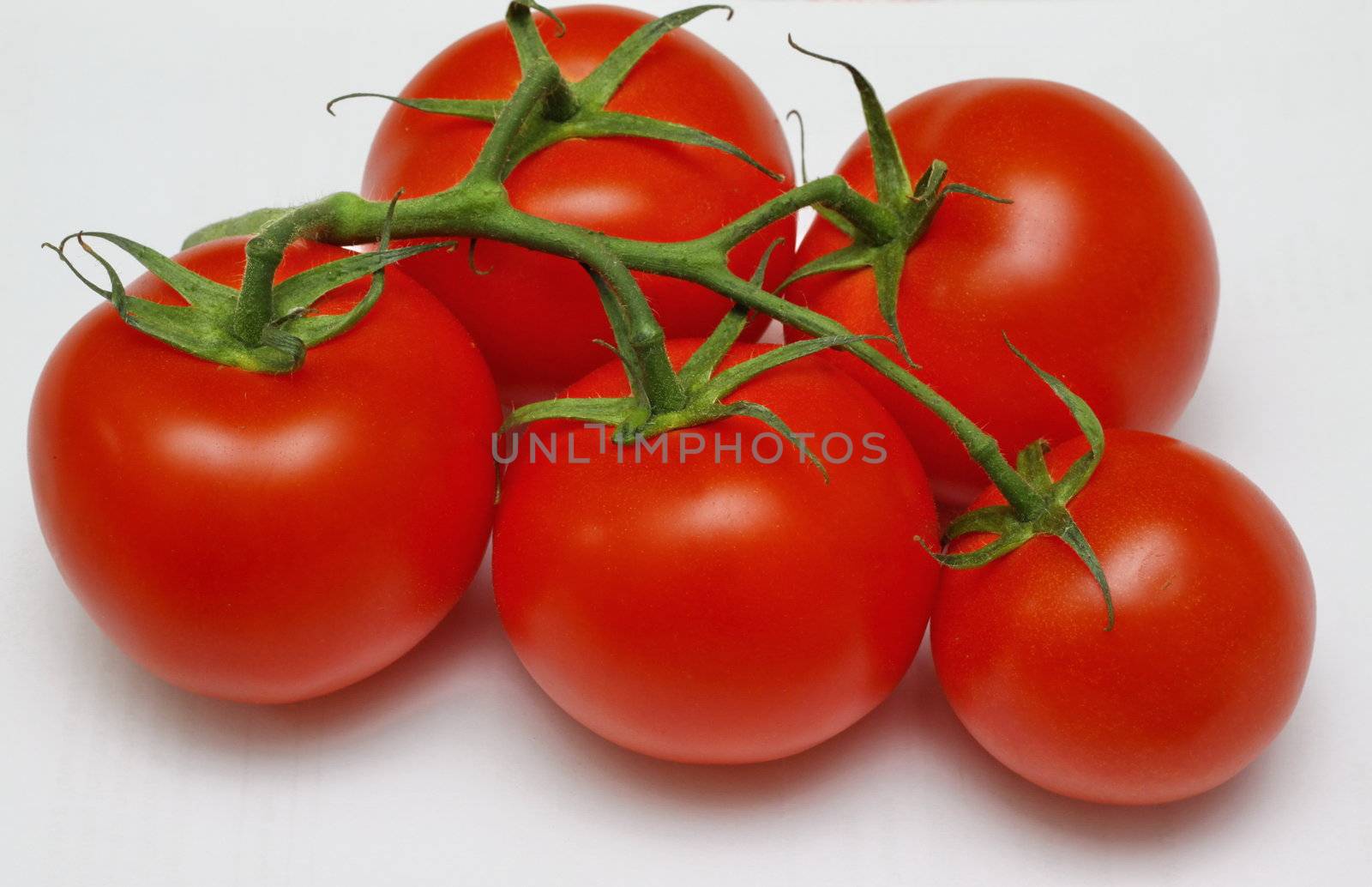 bunch of fresh vine tomatoes by leafy