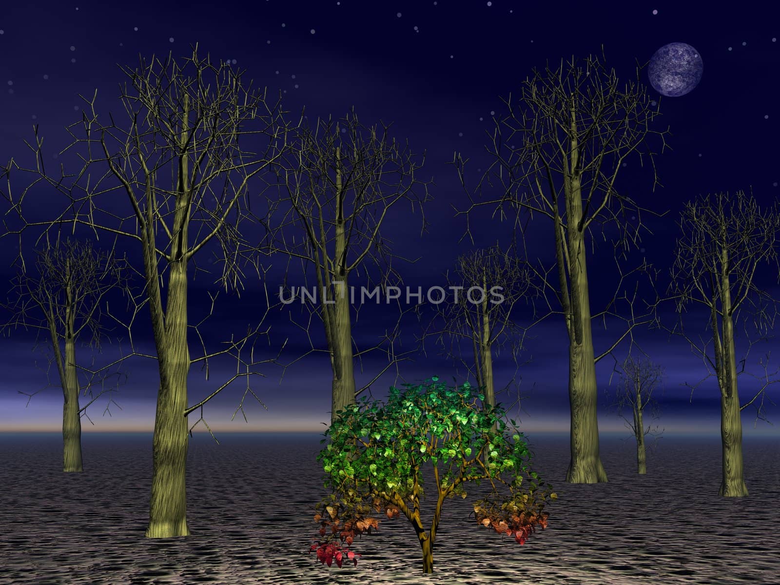 Small green tree alive among big dead forest trees by night with full moon