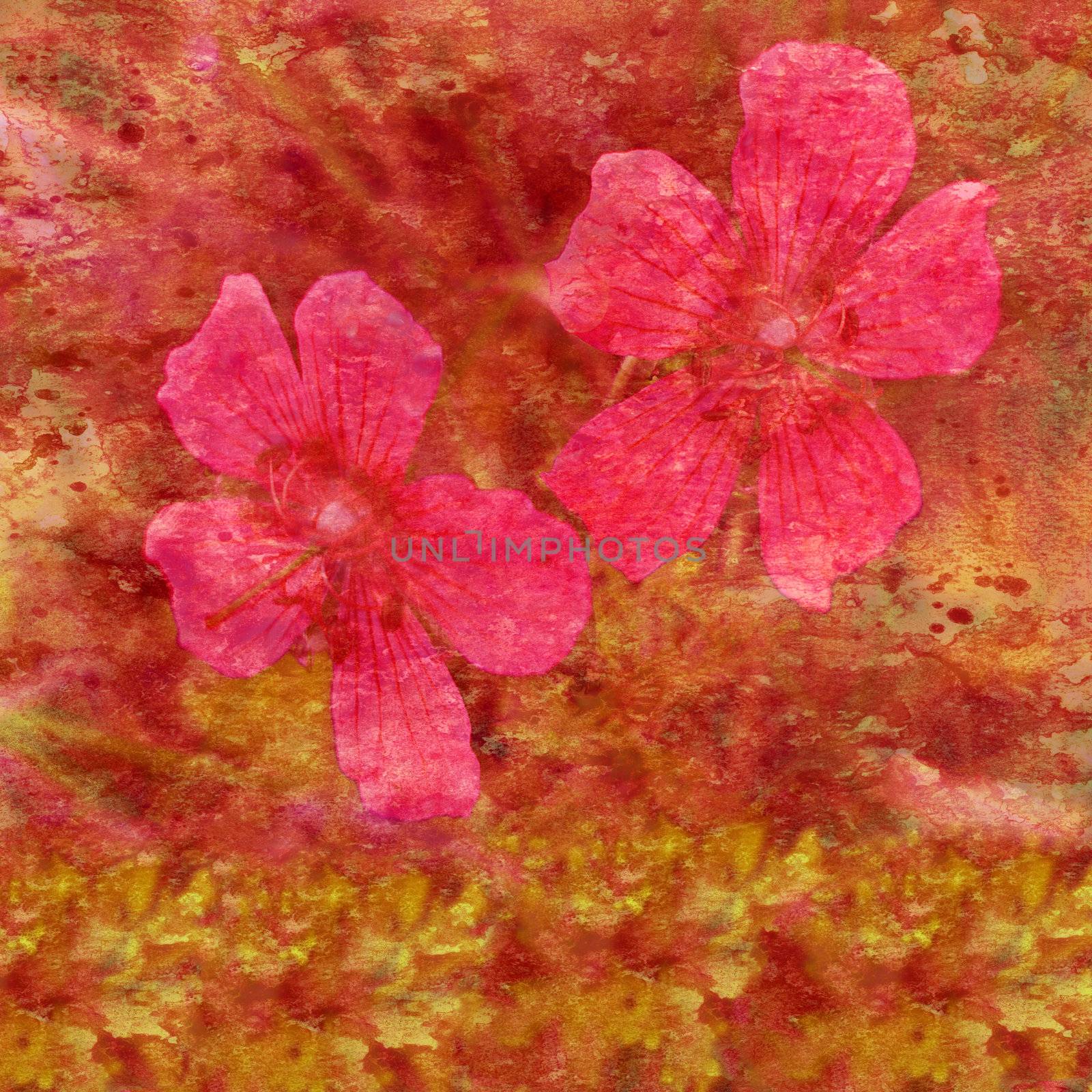 Abstract background, water color stains and lily flowers on a paper. Pink, red, orange, yellow