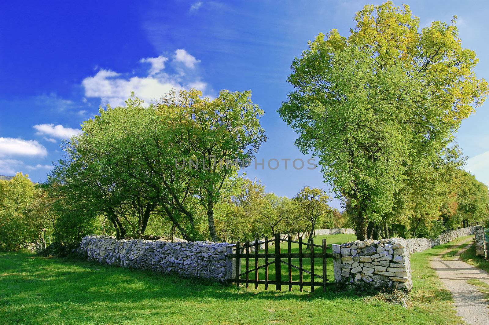 Wooden gate in a stone wall