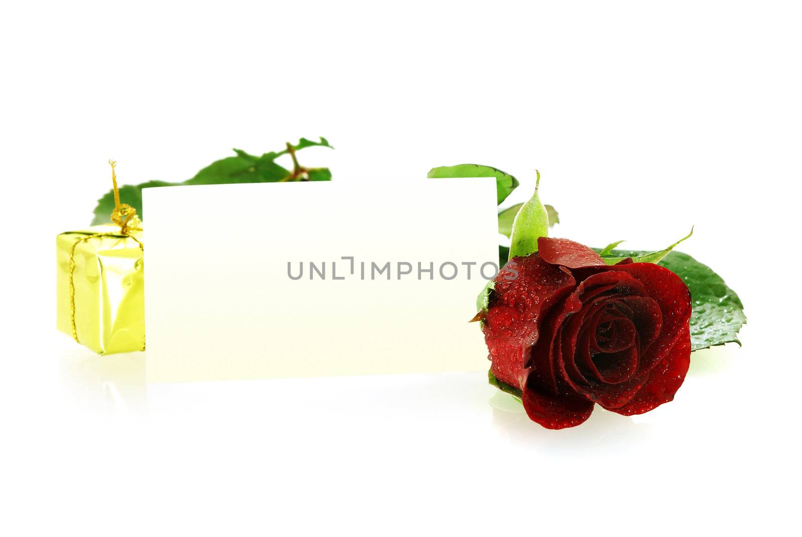 red rose with a gift and blank card for congratulation over white