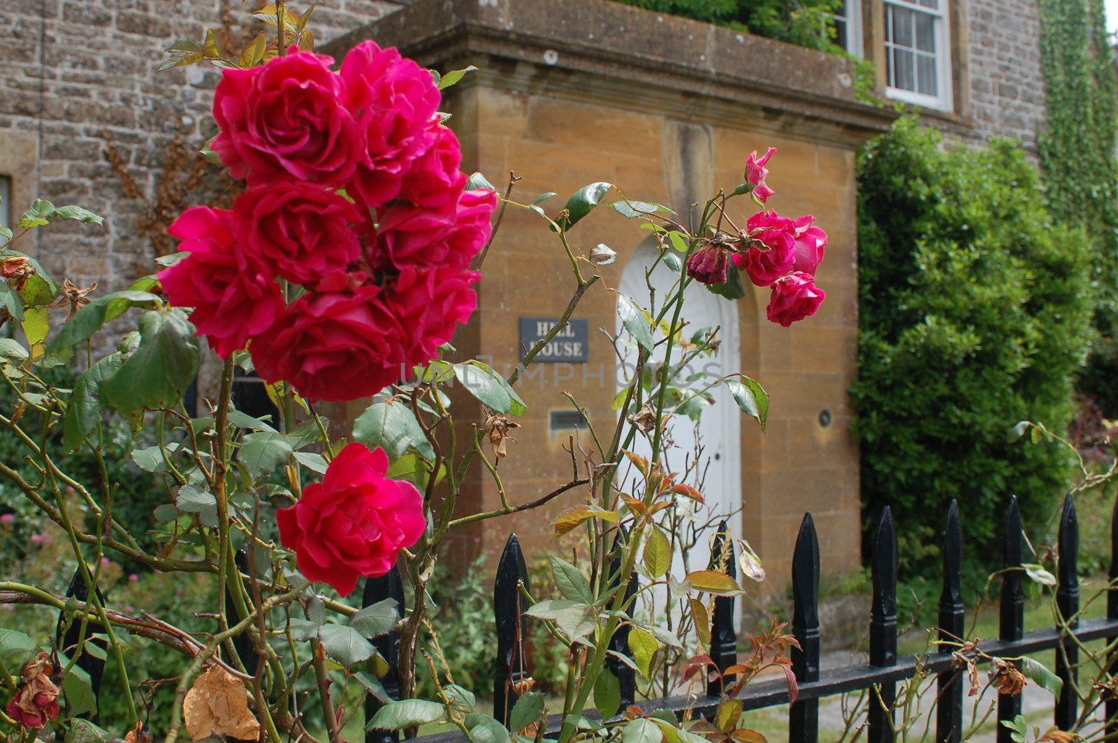 View of a typical British country lane with roses in the foreground and a country house in the background, framed by an iron railing