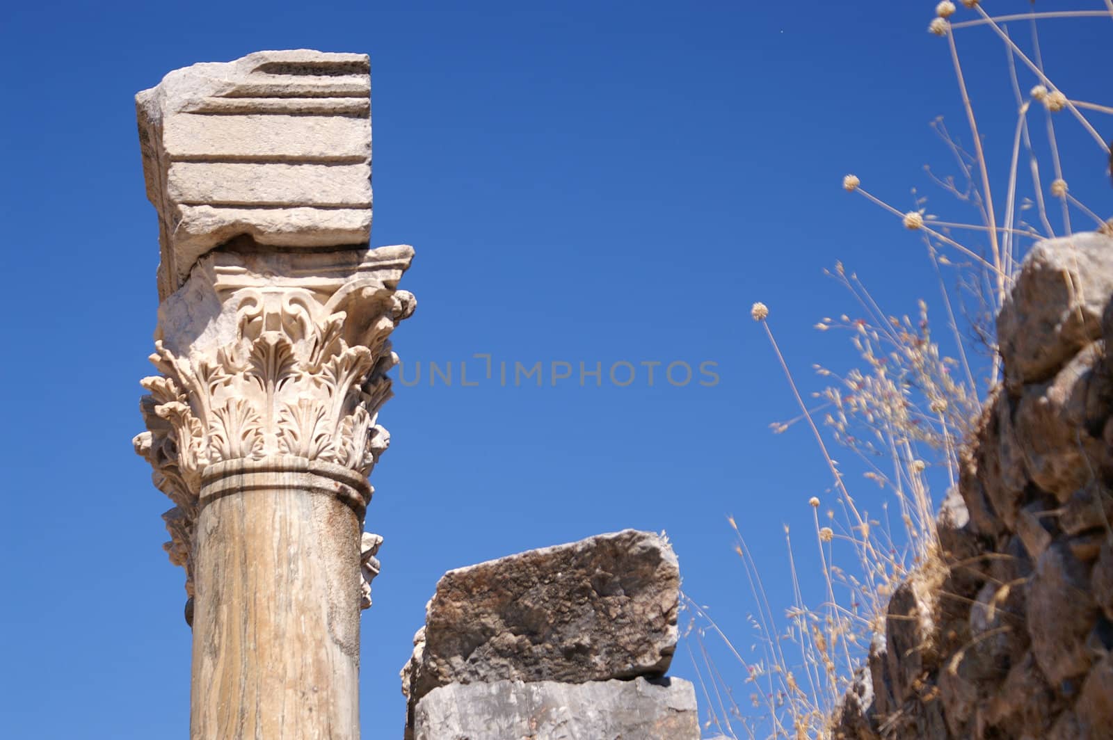 The top of an ornate roman column