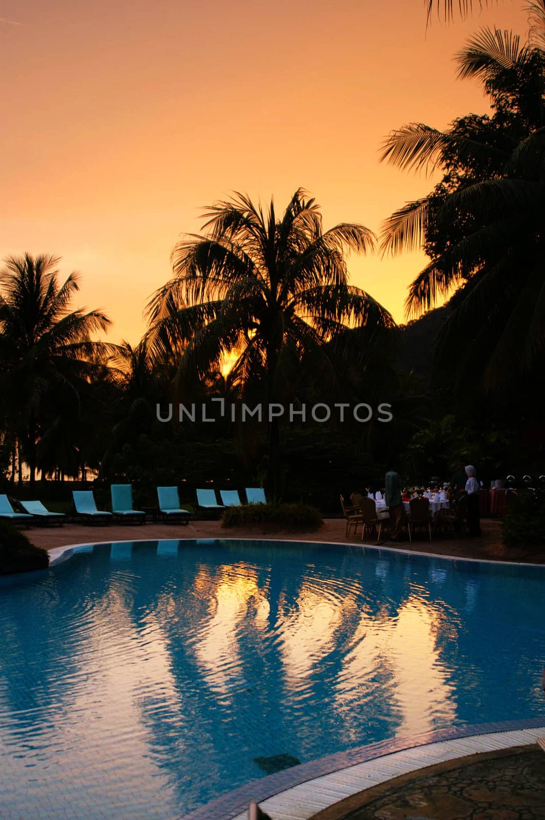 tropical sunset at a swimmingpool with silhouette palm trees in the back