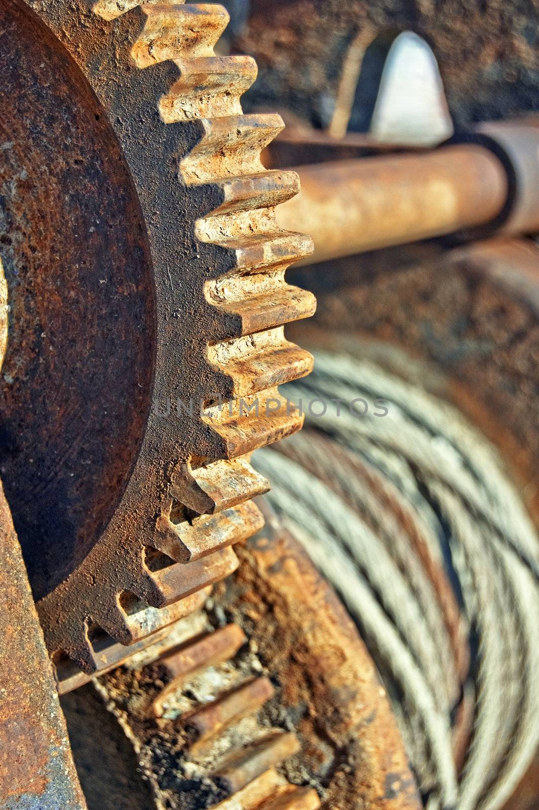 Rusty cogged wheel and of an old mechanism