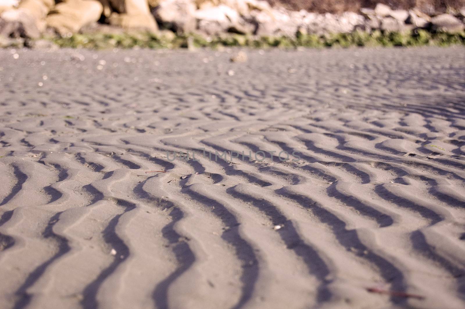 Lined sand waves on a beach