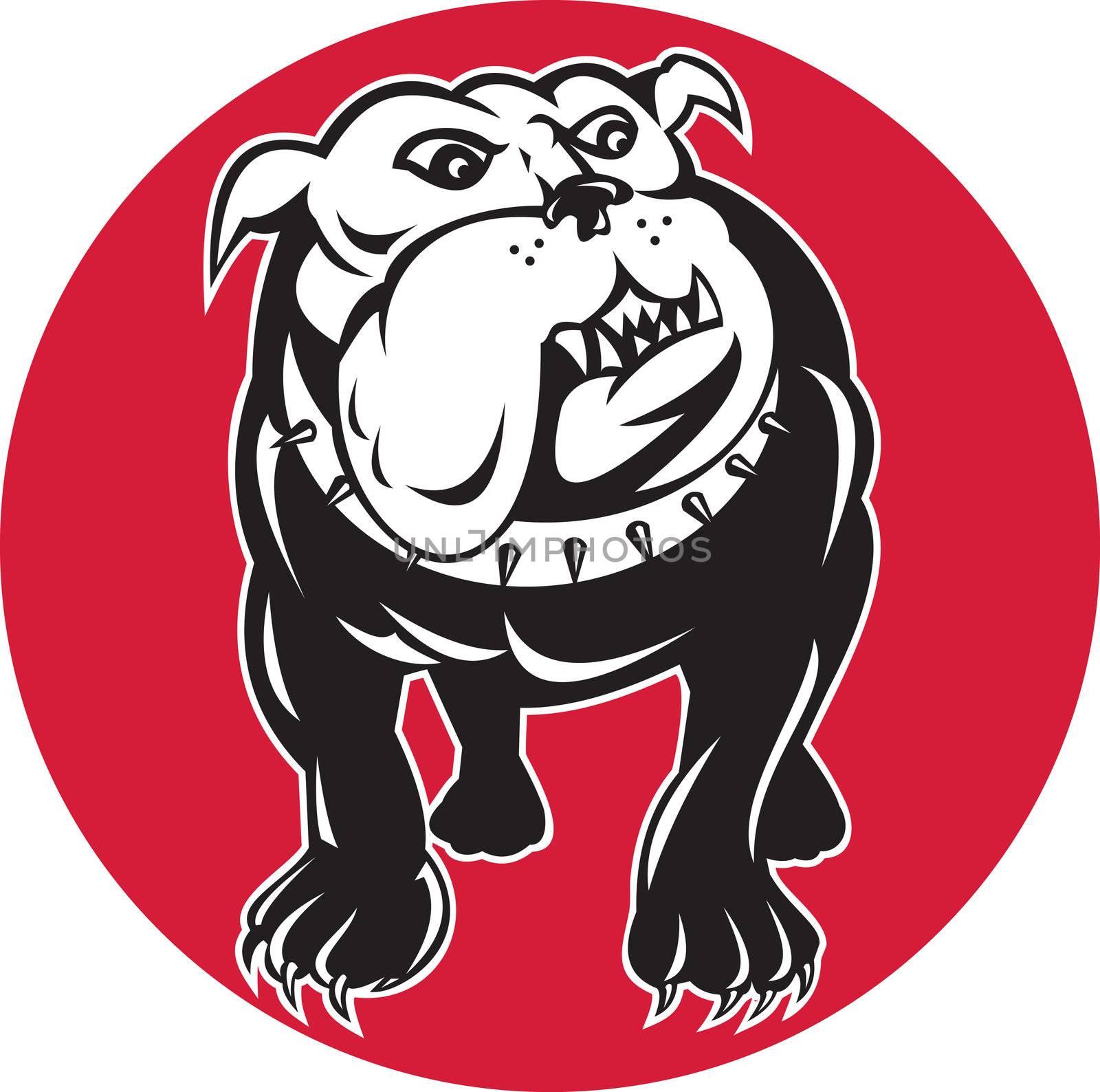 illustration of a bulldog mongrel dog facing front with spike collar set inside circle on isolated background