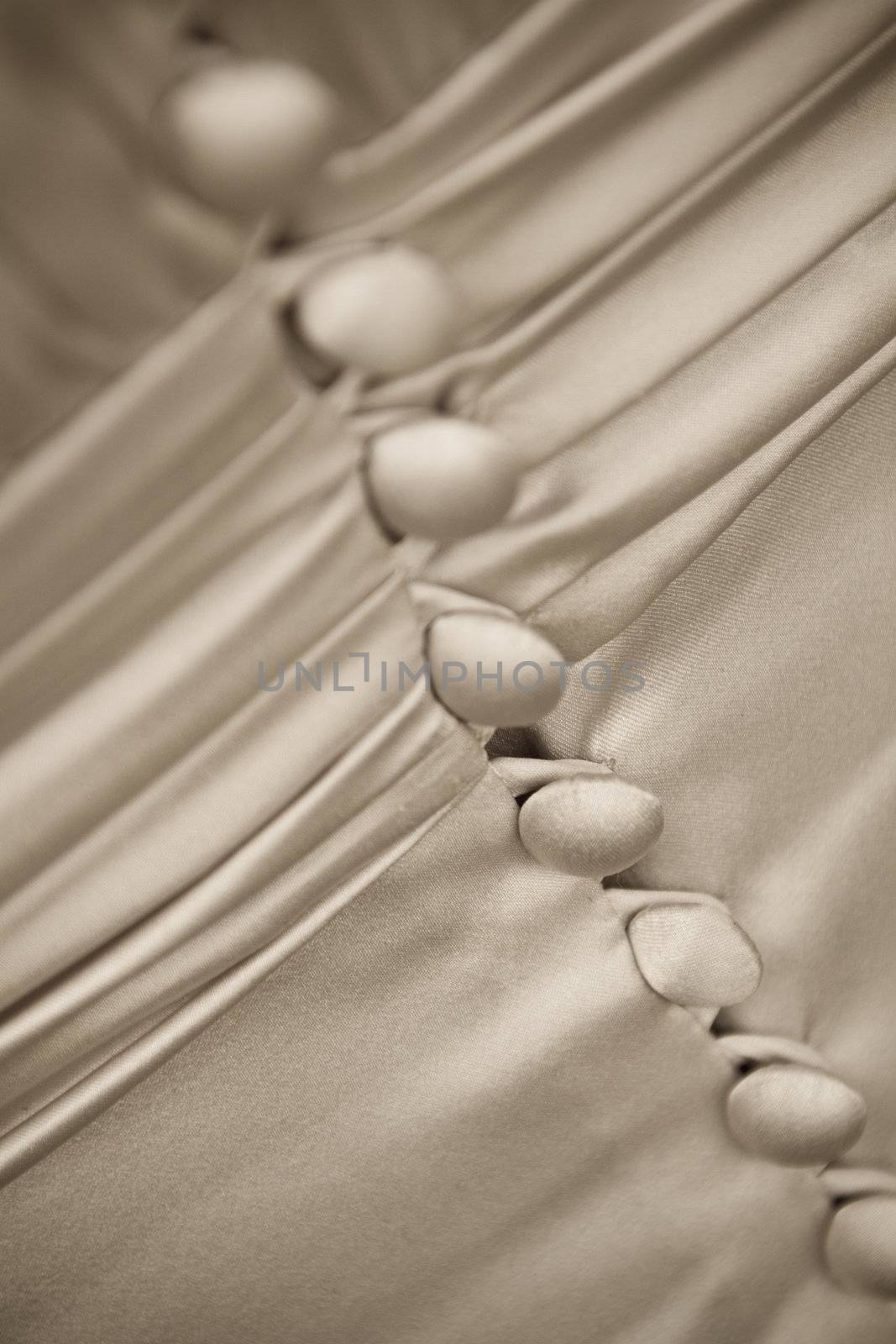 Details from the back of a wedding dress. Picture in sepia