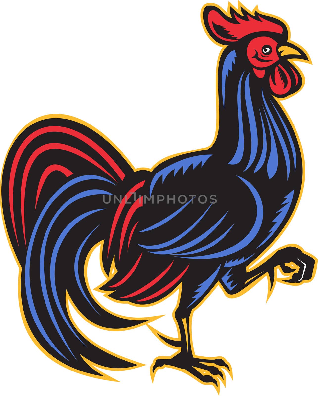 illustration of a rooster cockerel marching viewed from side done in retro woodcut style on isolated white background.