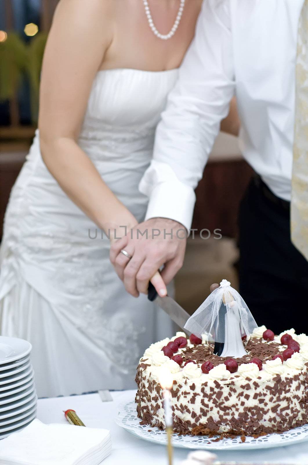 bride and groom cutting their wedding cake together