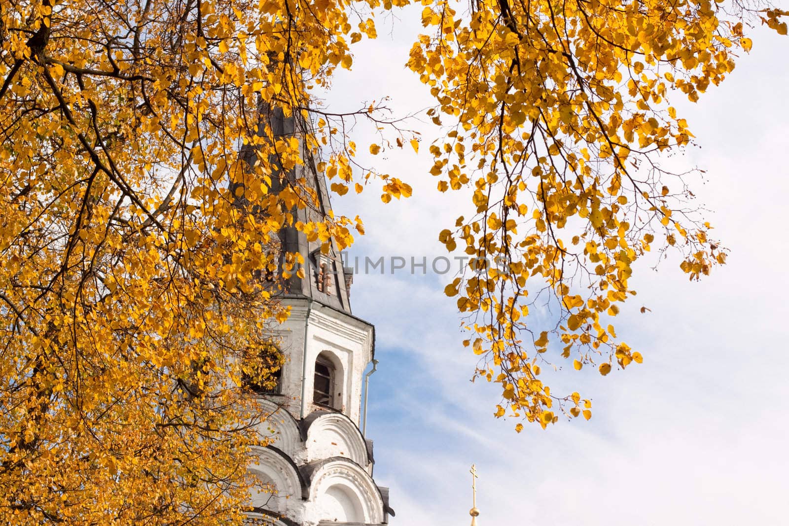 Yellow autumn leaves, white old church and sky
