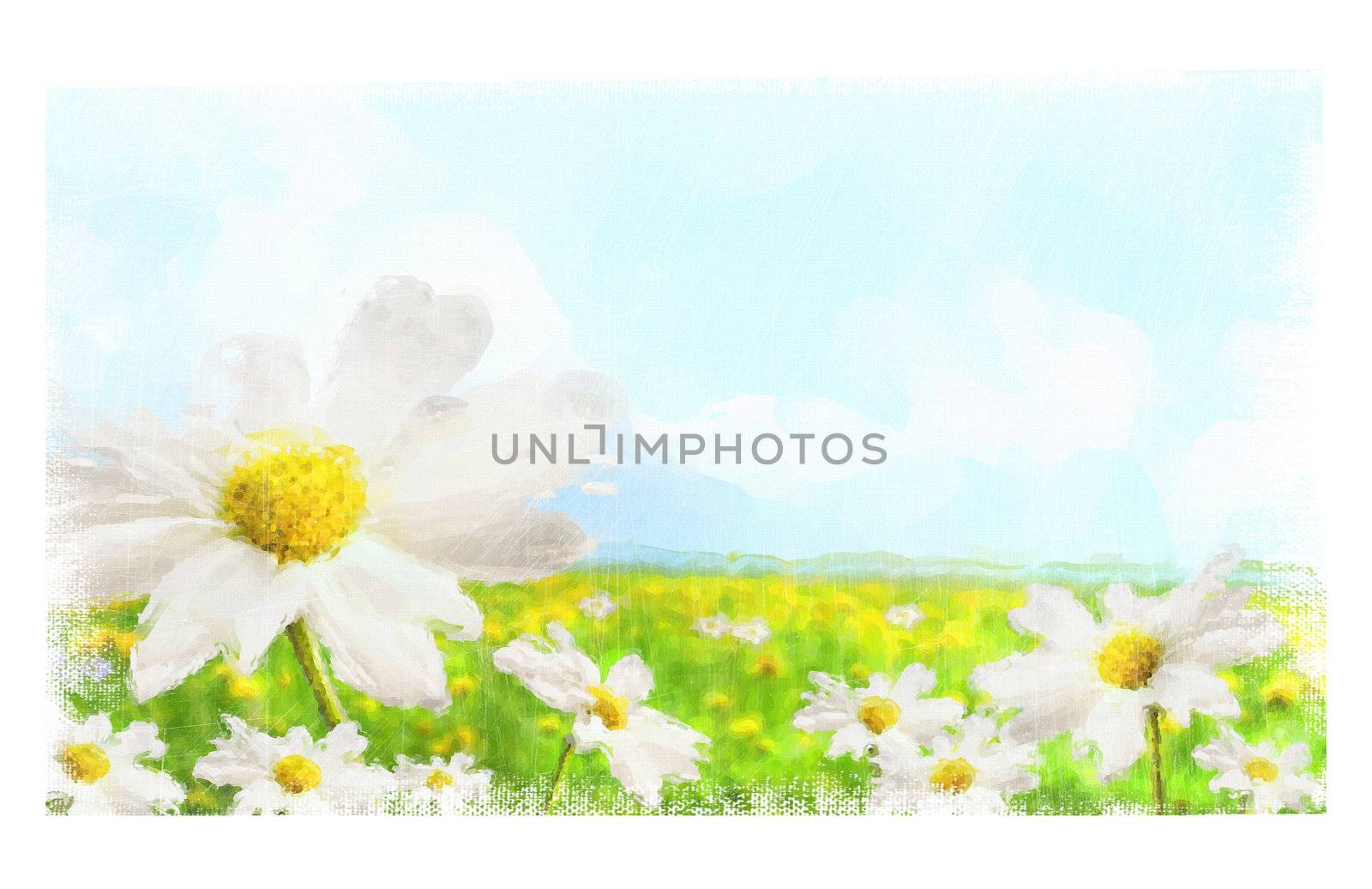 Digital watercolor of large shasta daisies in field by Sandralise
