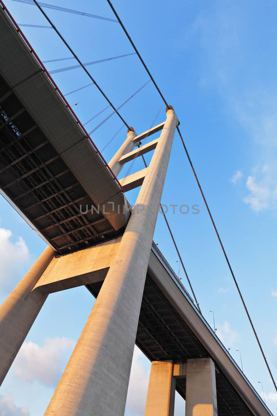 Tsing Ma Bridge