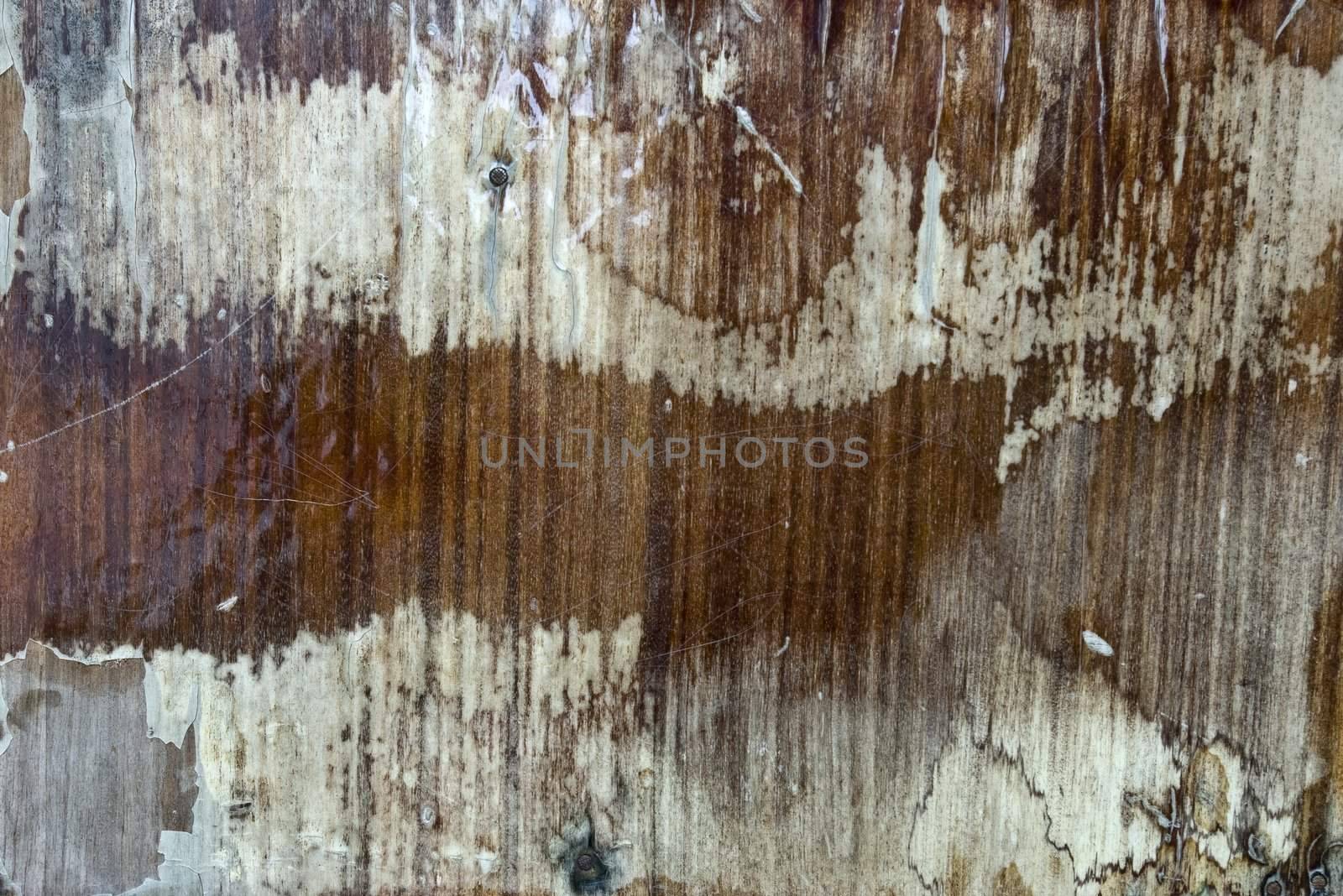 the old and grunge  vintage wood texture