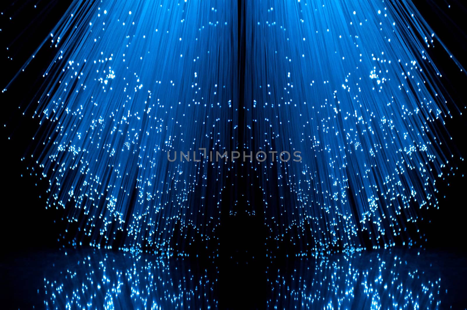 Low level angle capturing the ends of many illuminated blue fibre optic light strands against a black background in reflecting into the foreground.