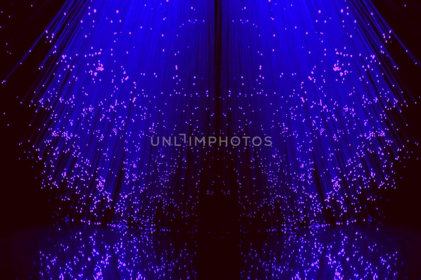 Low level angle capturing the ends of many illuminated blue fibre optic light strands against a black background in reflecting into the foreground.