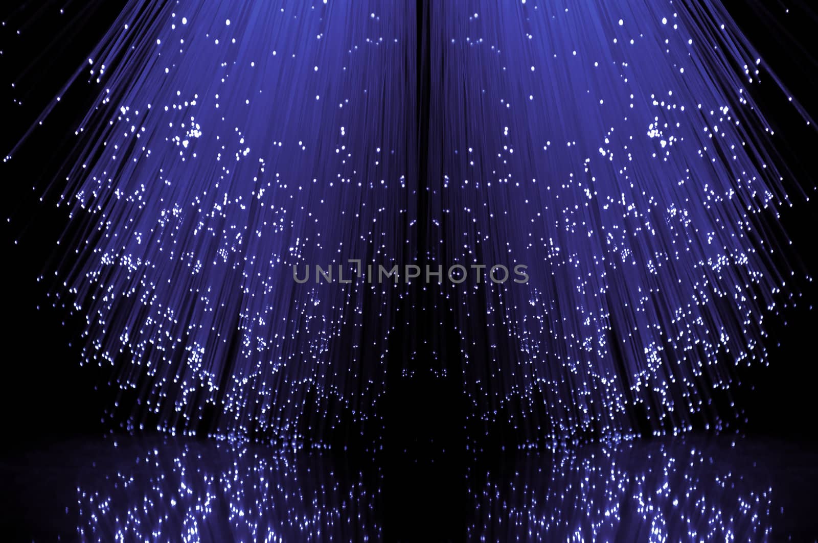 Low level angle capturing the ends of many illuminated violet fibre optic light strands against a black background in reflecting into the foreground.