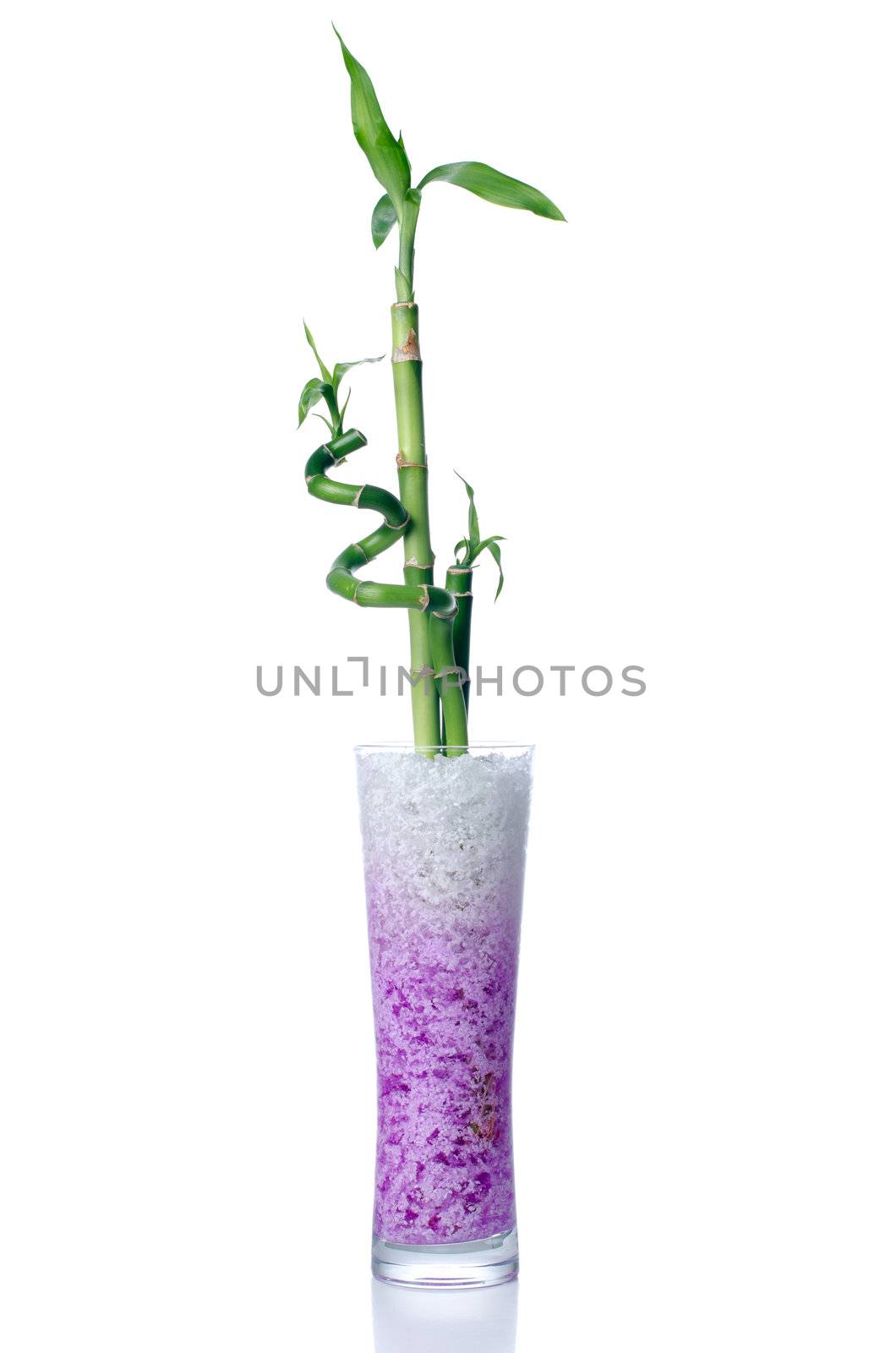 Glass jar with bamboo isolated on white background.