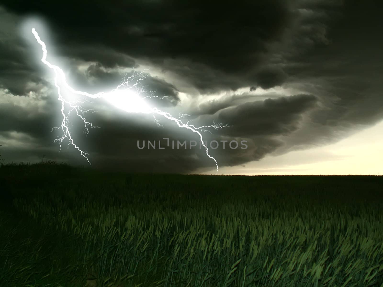 lightning  storm and the Corn by njaj