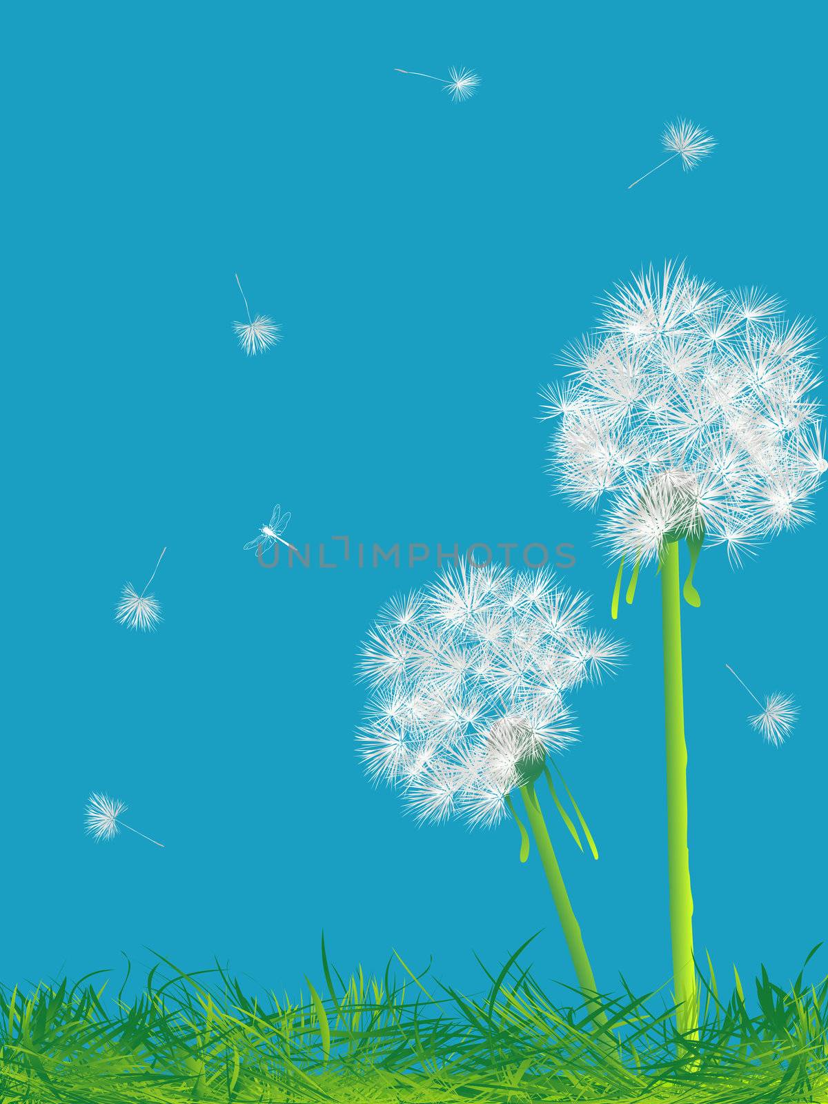 Beautiful dandelions background, abstract art