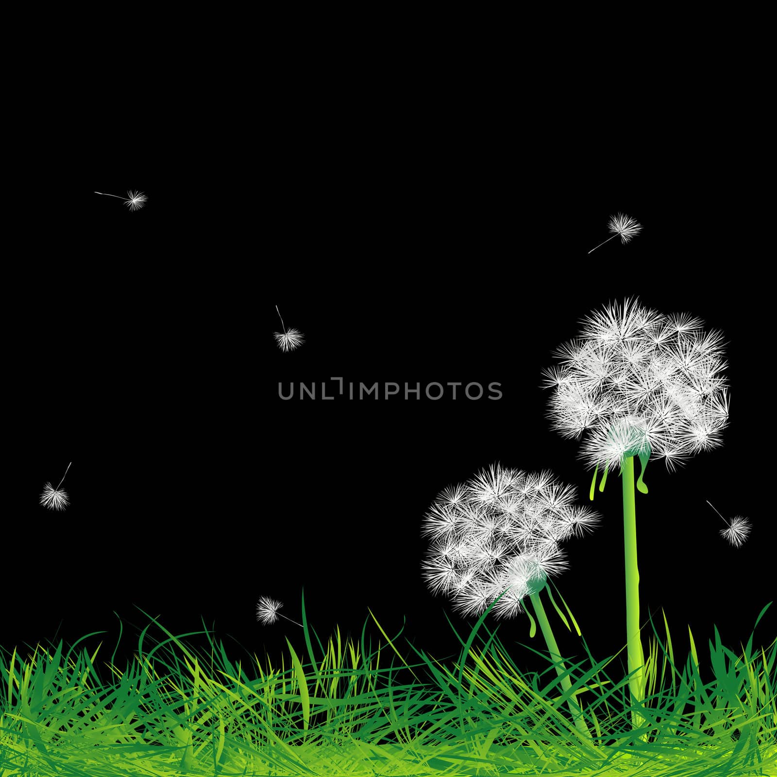 Dandelions and grass in the night, abstract art