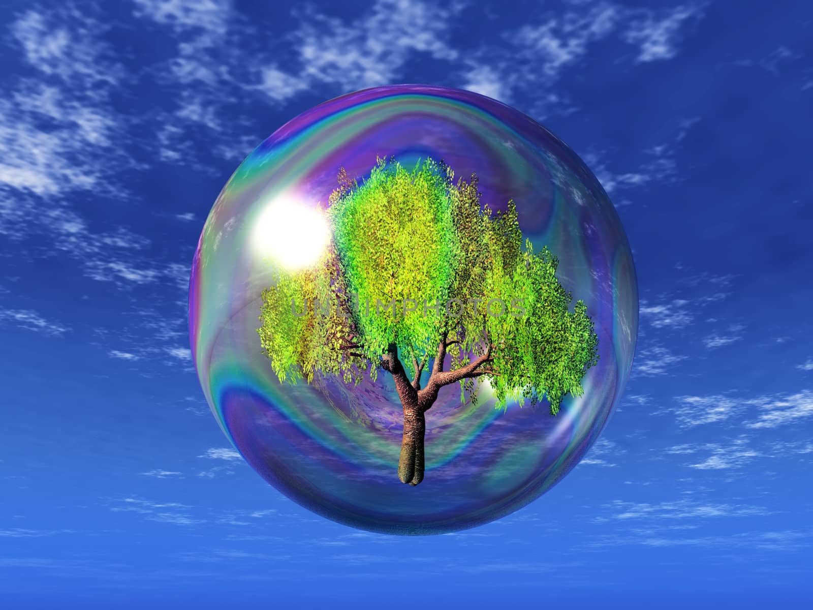 tree in bubble by njaj