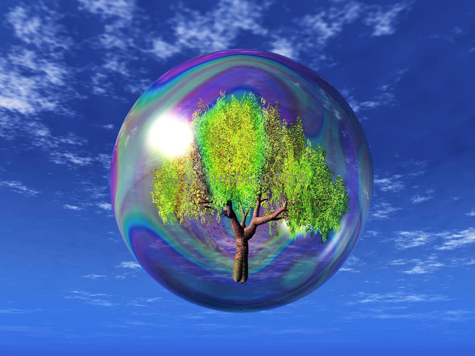 tree in a soap bubble