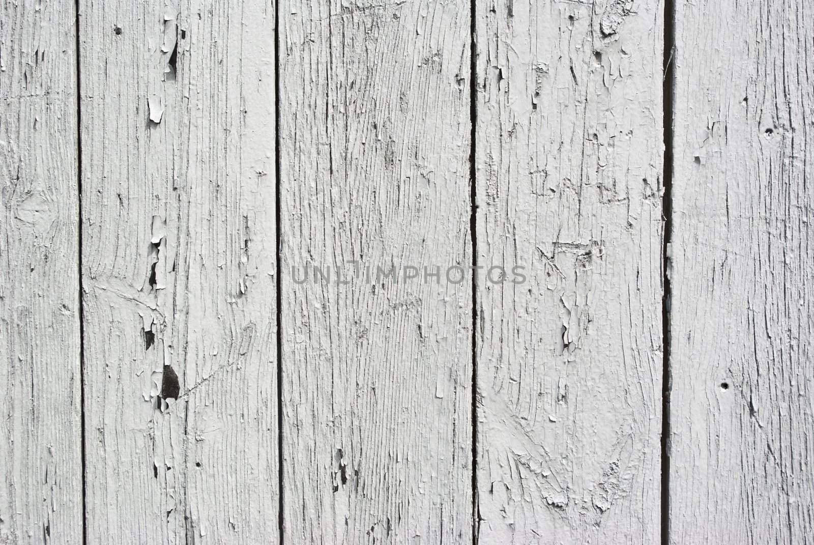 A background of weathered white painted wood