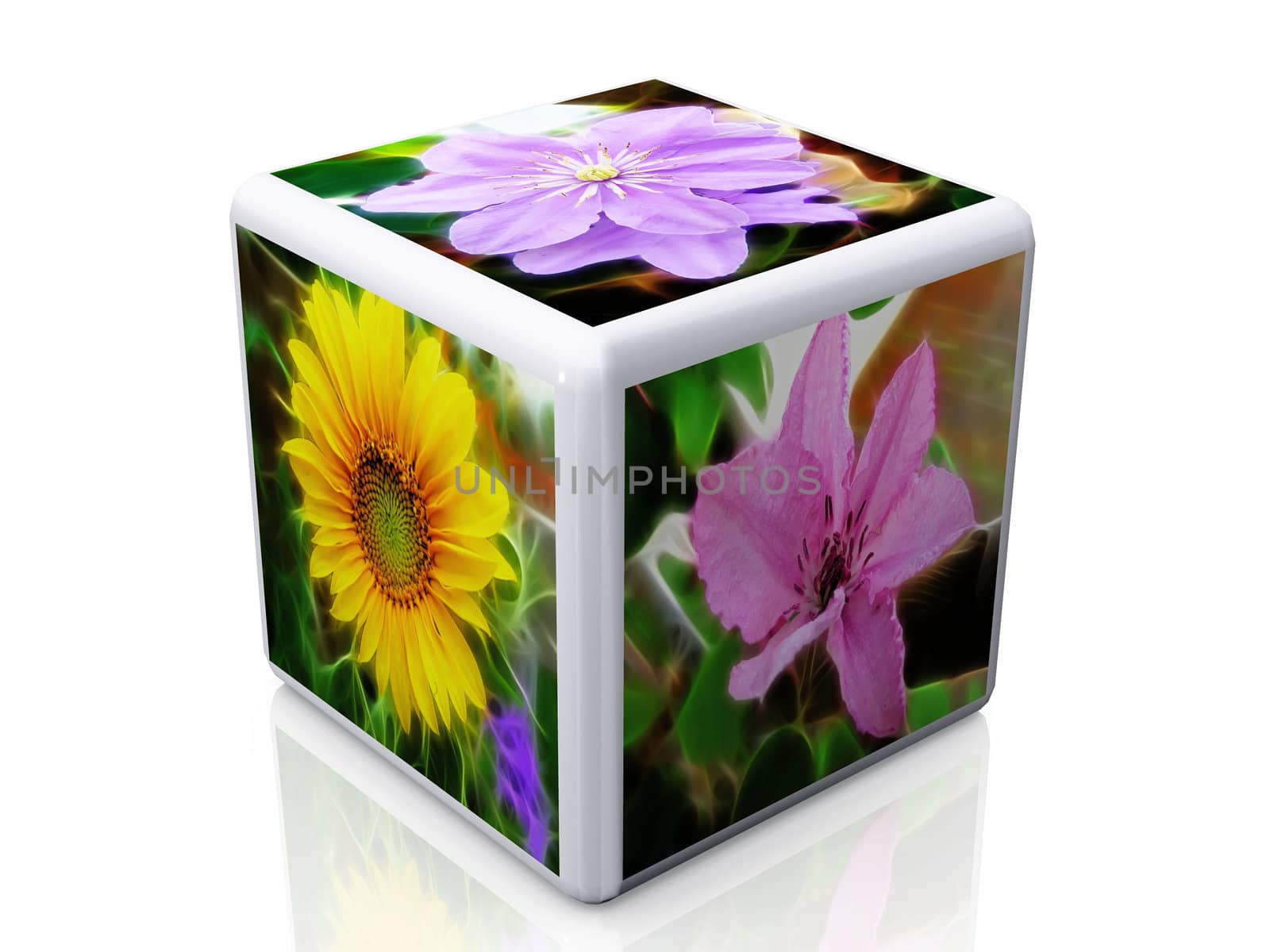 cube and flowers pictures by njaj