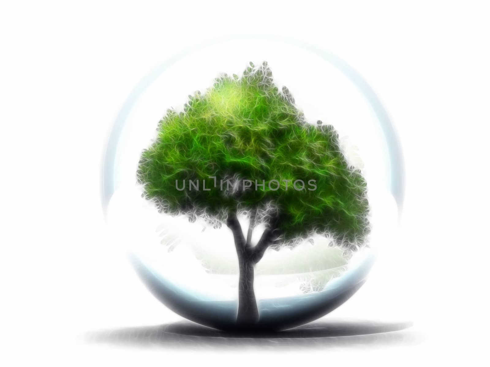 green tree in a bubble