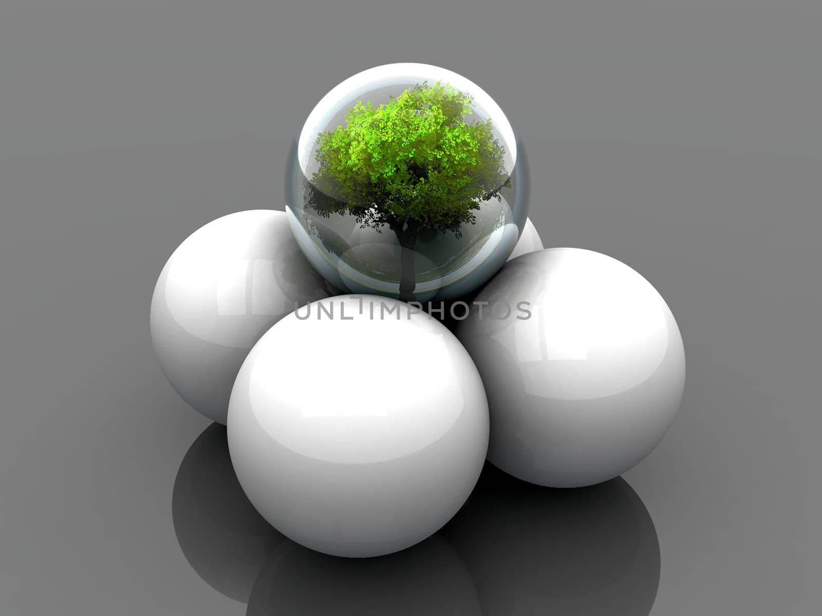 ball  with a tree and white balls