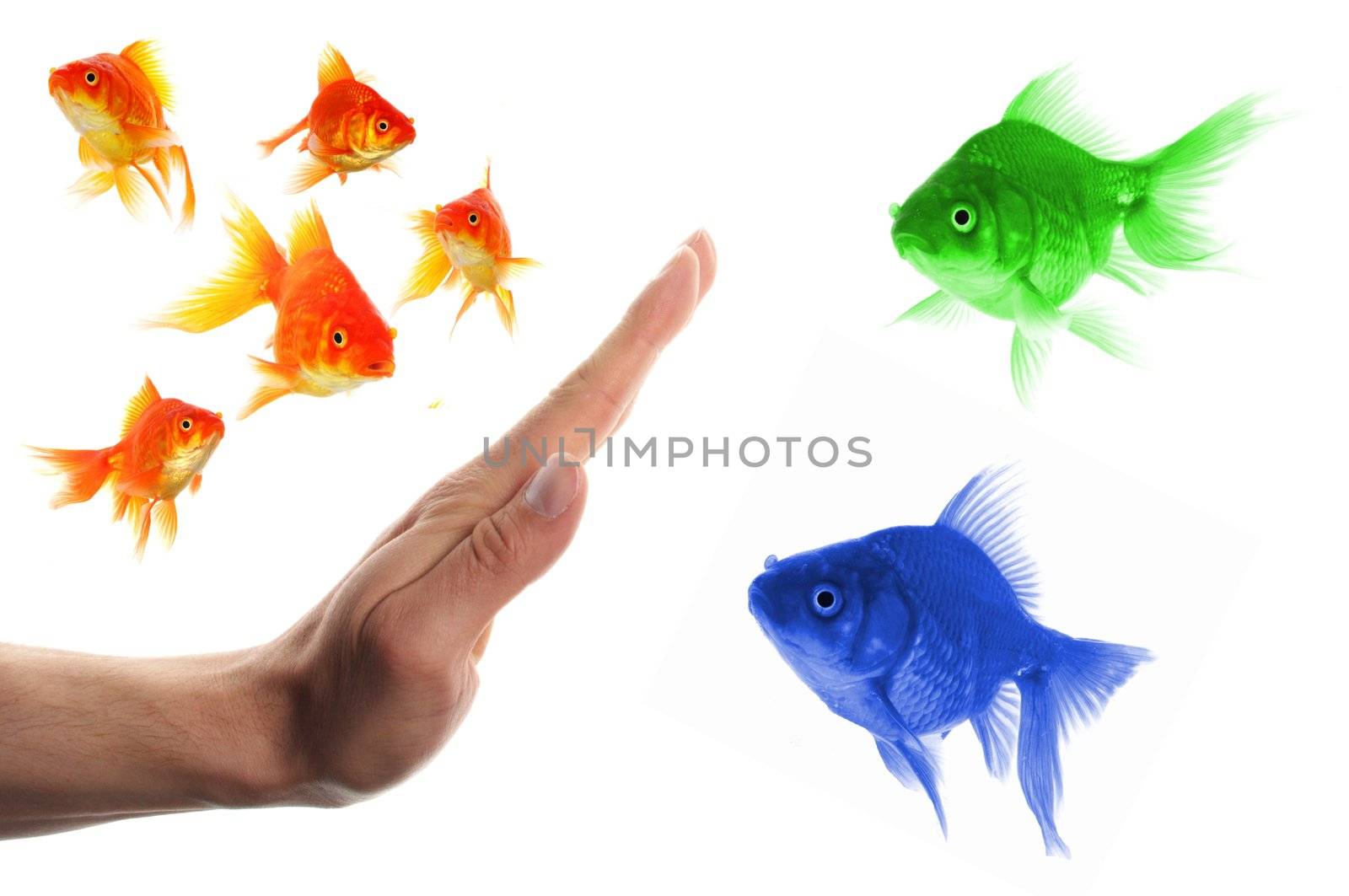 discriminating outsider racism or intolerance concept with goldfish and hand