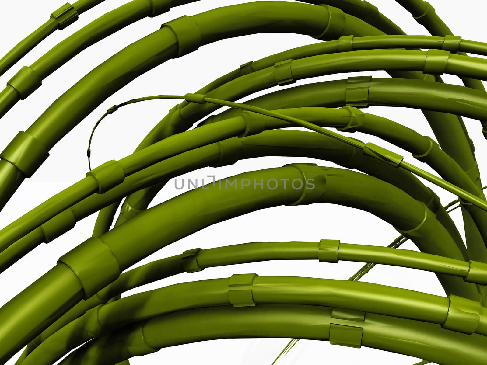 bamboo  arches on a white background