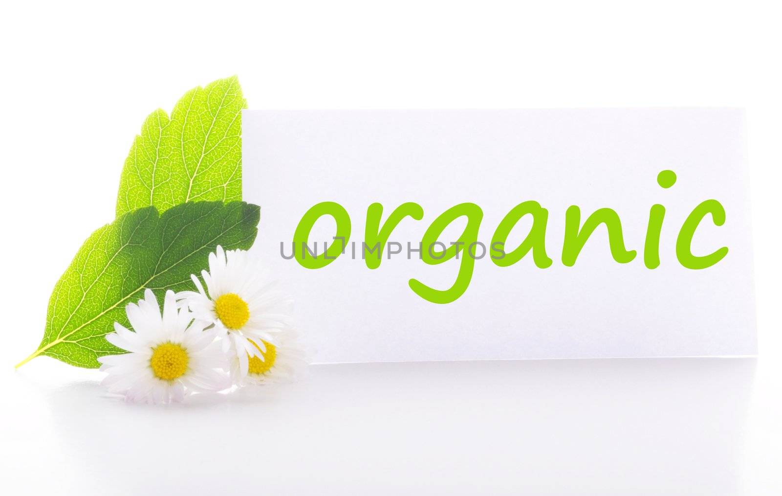 organic concept with word on nature still life