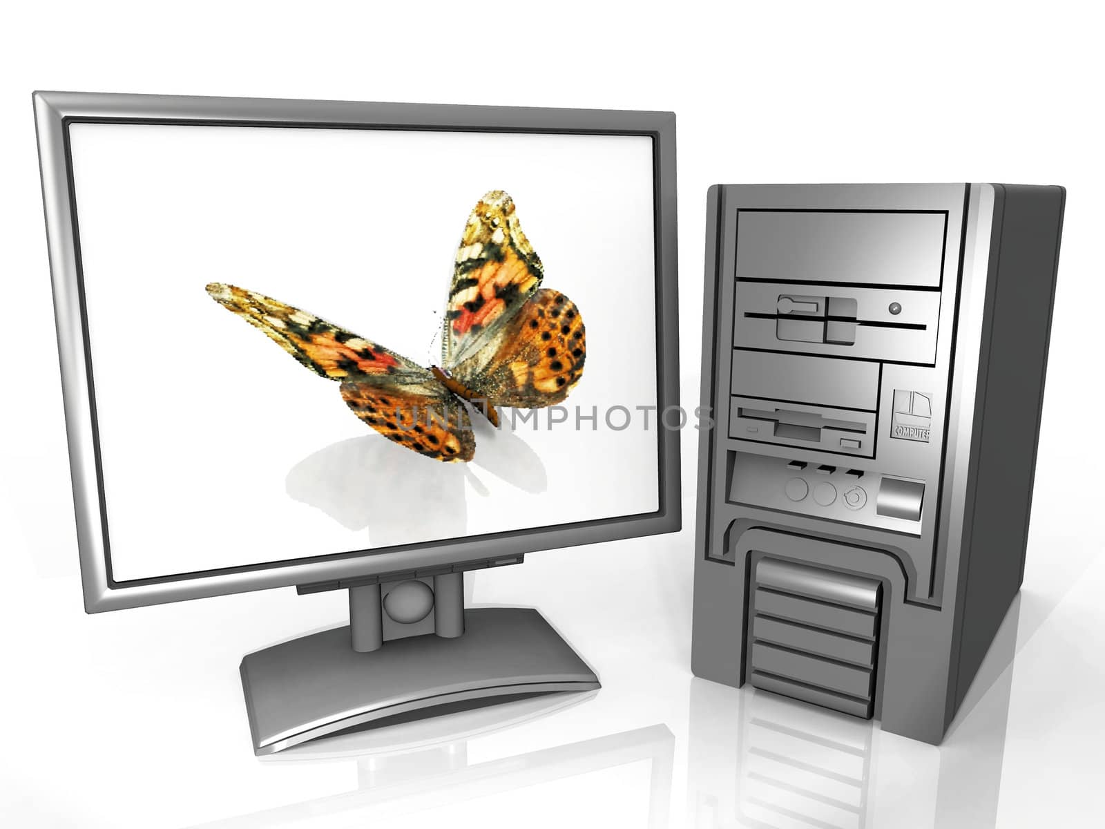 computer  screen and the Butterfly