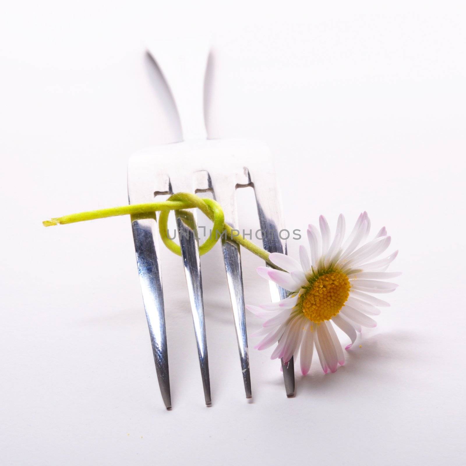 food concept with flower and fork on white table in summer