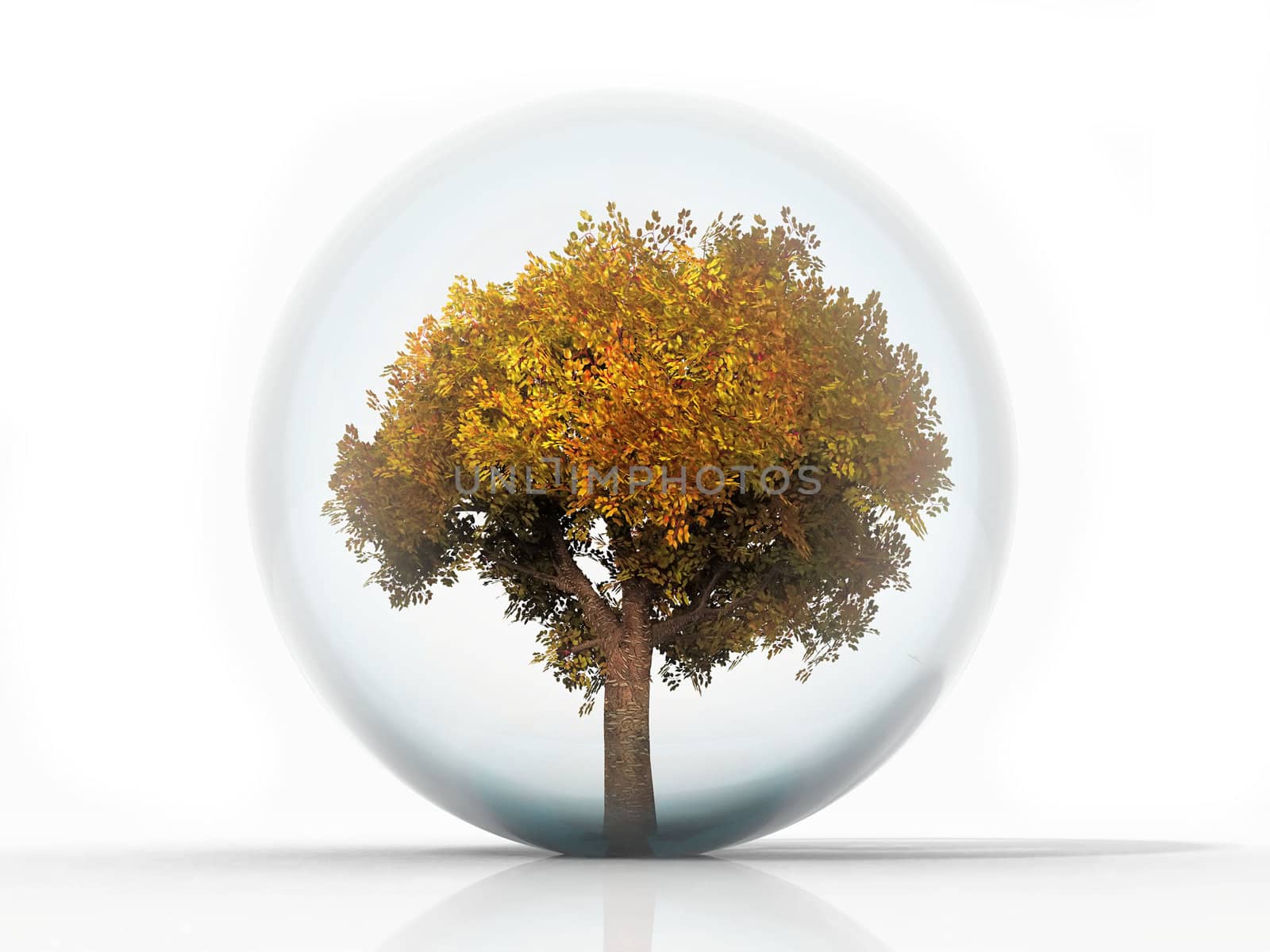 Autumn Tree in a bubble by njaj