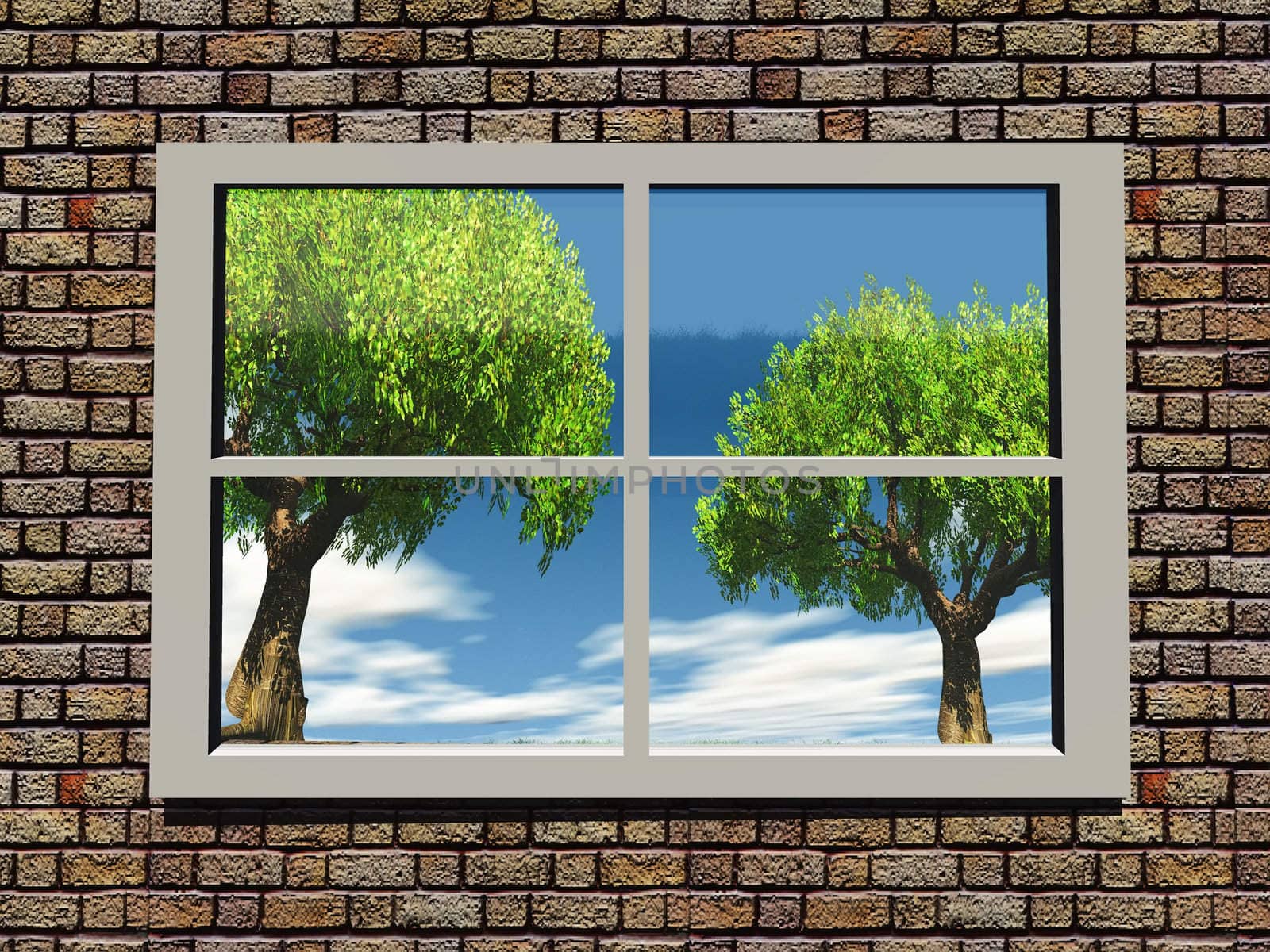 trees and nature through the window