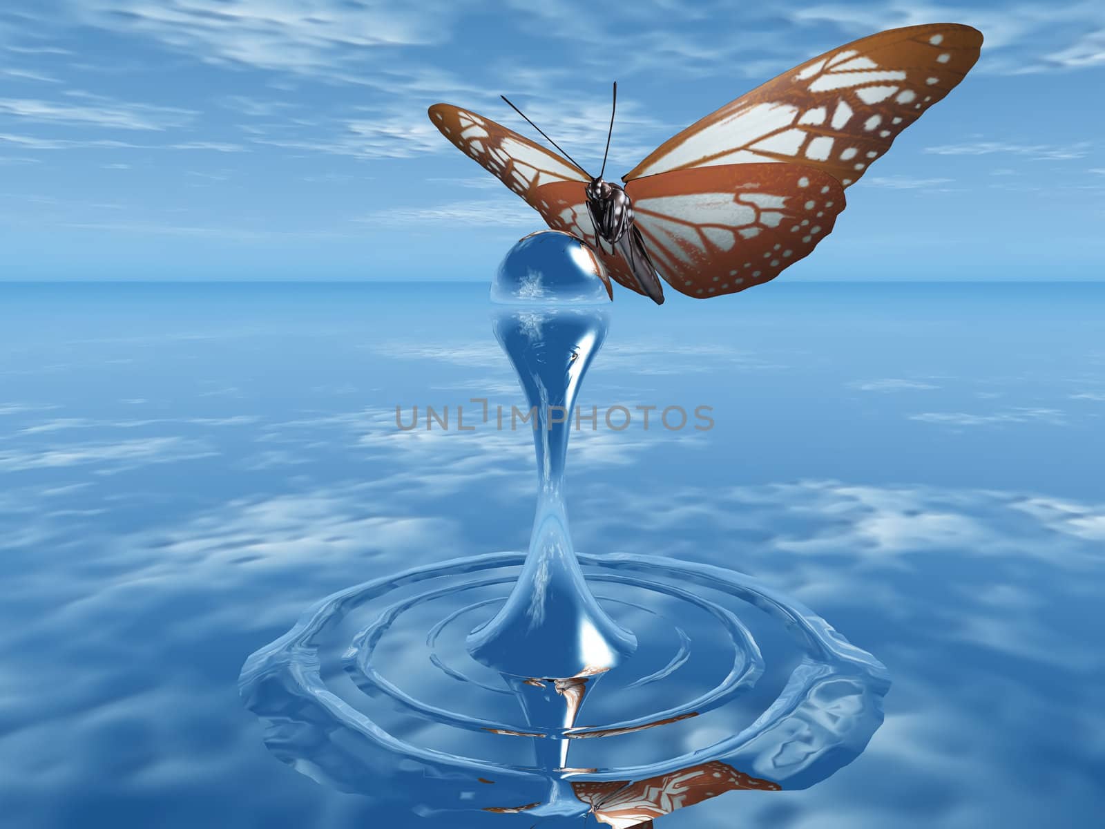 the butterfly and the drop of water by njaj