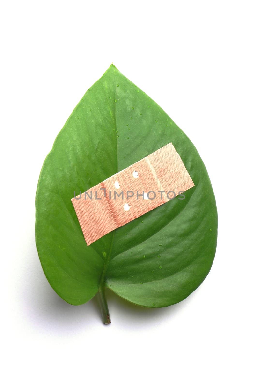 eco ecology ecological nature or environmental concept with green leaf and band aid on white
