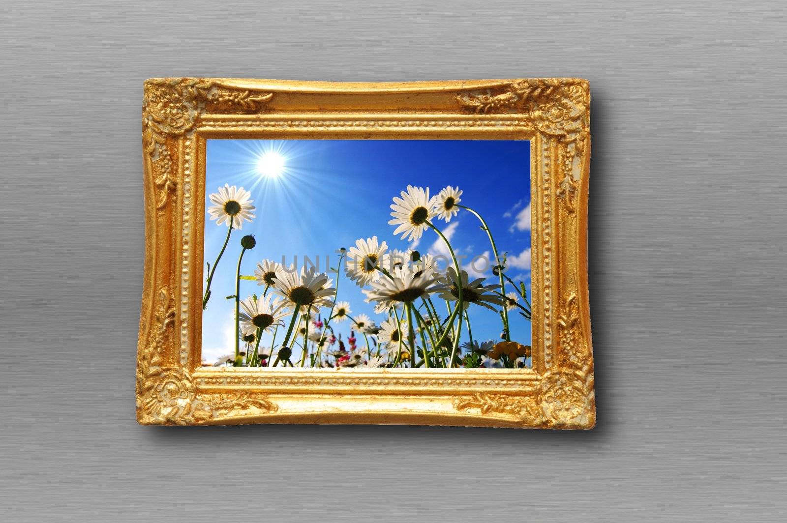 flowers and image frame on wall by gunnar3000