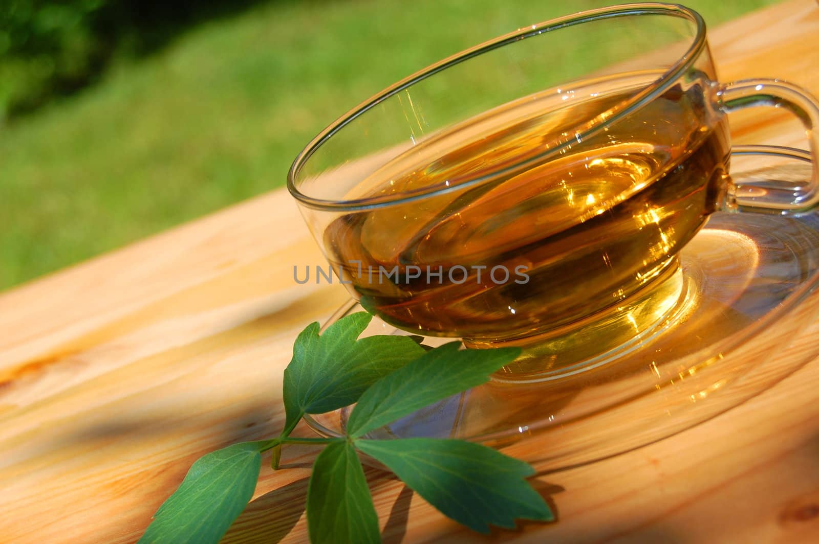 cup of tea in the garden showing concept of gardening