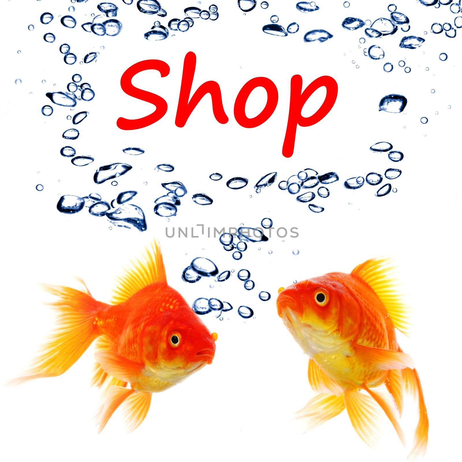 shopping or shop concept with word and goldfish