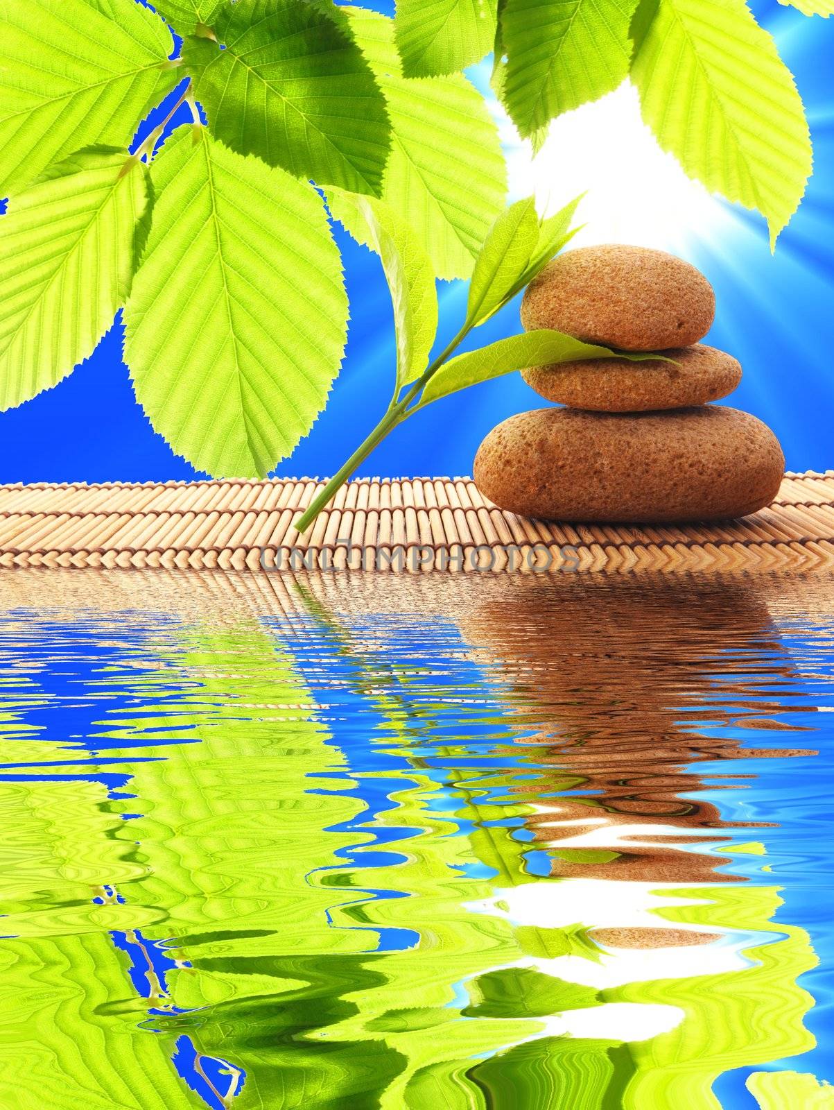 spa zen or summer concept with stone and water