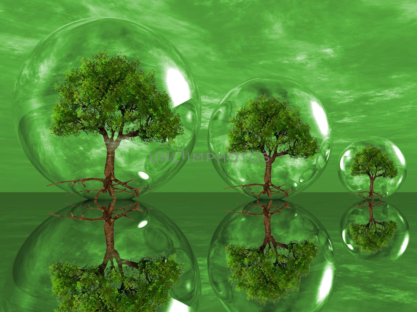 the green trees in bubbles